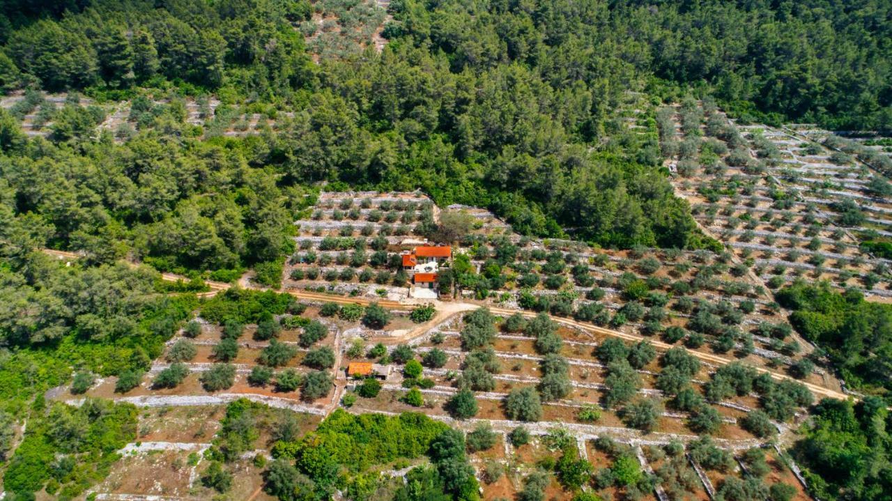 Holiday Home Liberan Vela Luka Bagian luar foto